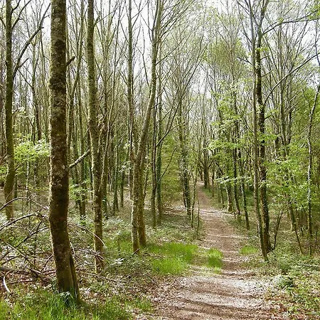 Gastronomico Casa Rosalia Szálloda Brion