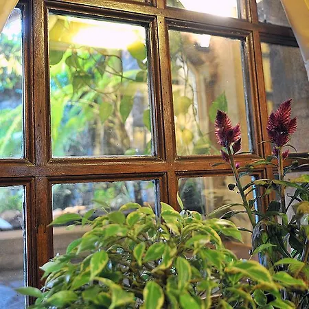 Szálloda Gastronomico Casa Rosalia 2*